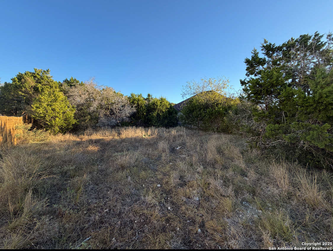 1343 Rimrock Cove Spring Branch, TX 78070 - Photo 1 of 5 a view of a lake with mountain in the background