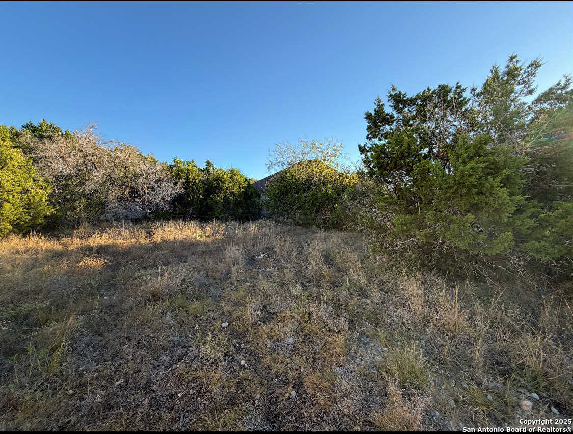1343 Rimrock Cove Spring Branch, TX 78070 - Photo 2 of 5 a view of a lake with mountain in the background