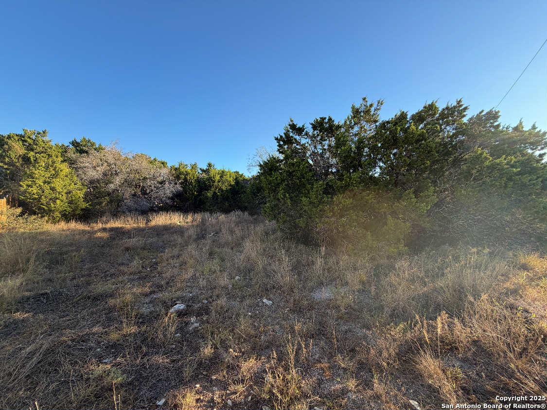 1343 Rimrock Cove Spring Branch, TX 78070 - Photo 3 of 5 a view of a field with trees in background