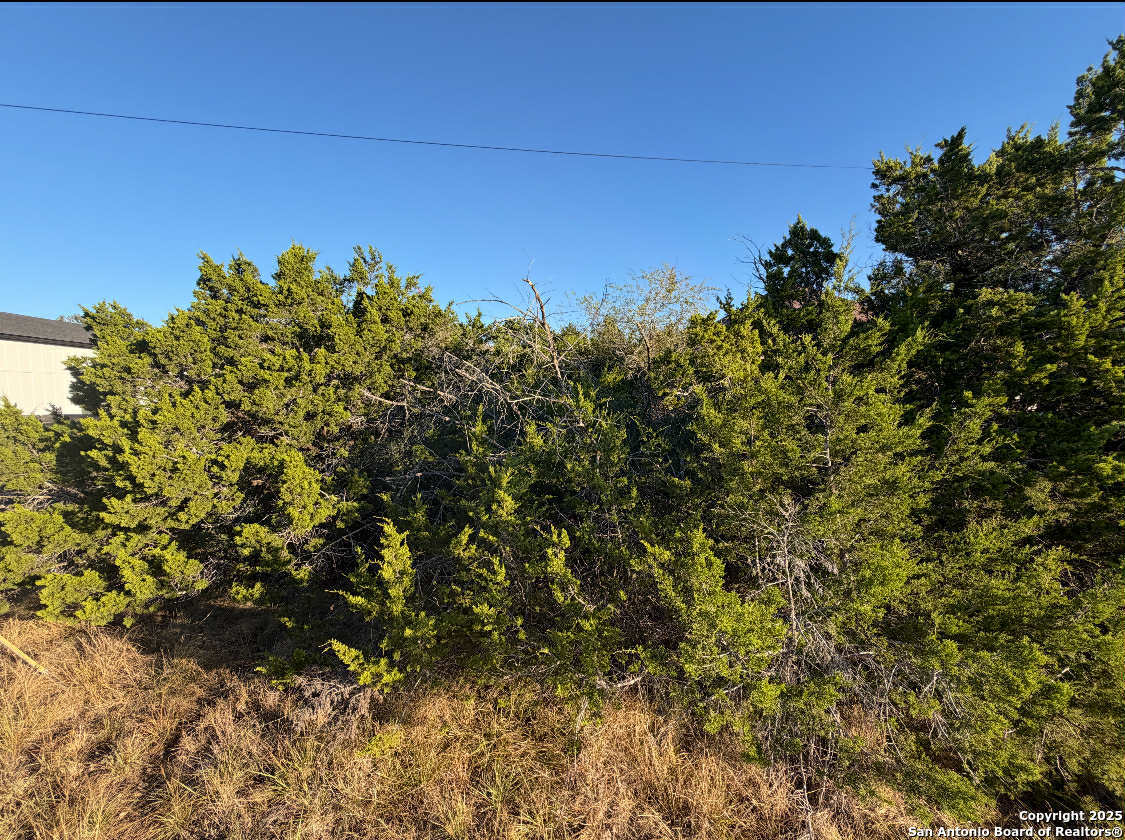 1343 Rimrock Cove Spring Branch, TX 78070 - Photo 4 of 5 a view of a field