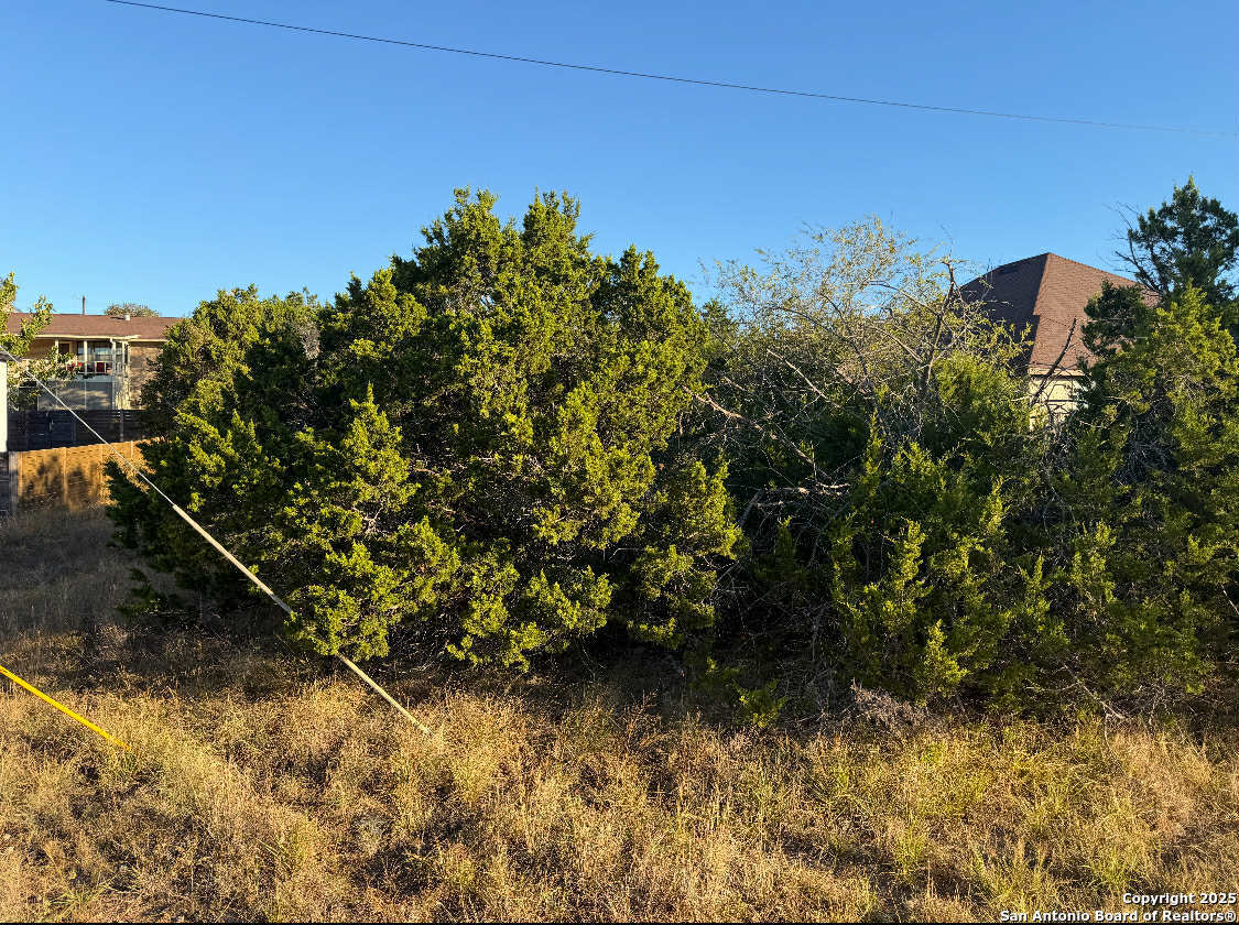 1343 Rimrock Cove Spring Branch, TX 78070 - Photo 5 of 5 a view of a lake with a building in the background