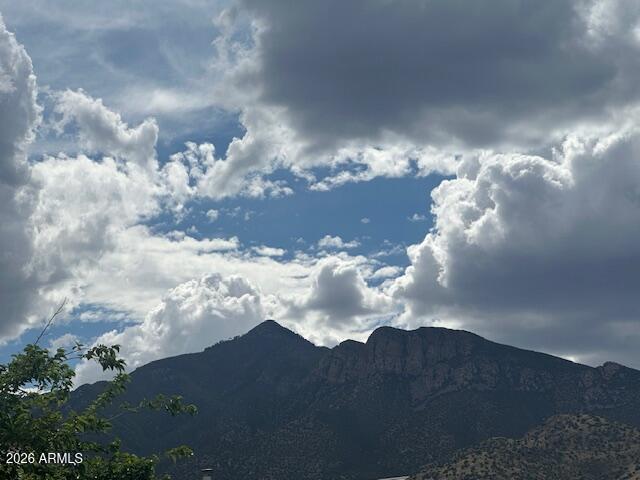 7258 South Lariat Road Hereford, AZ 85615 - Photo 37 of 37