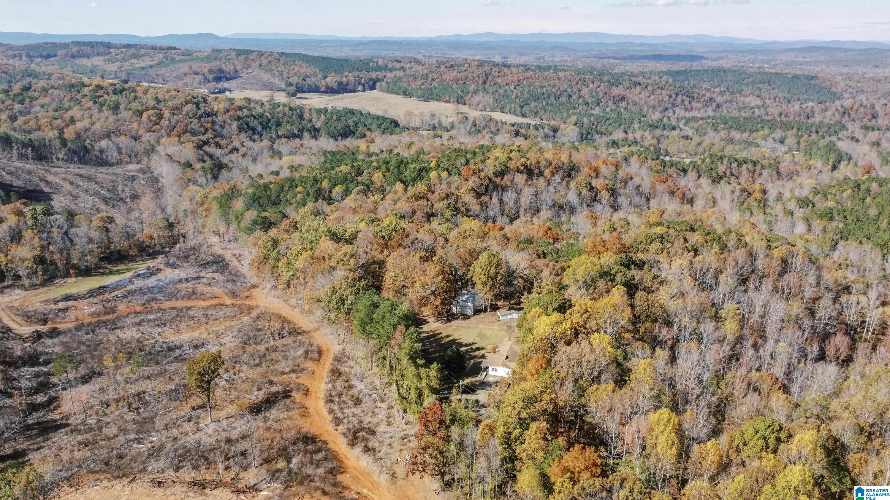 526 County Road 125 Heflin, AL 36264 - Photo 59 of 83
