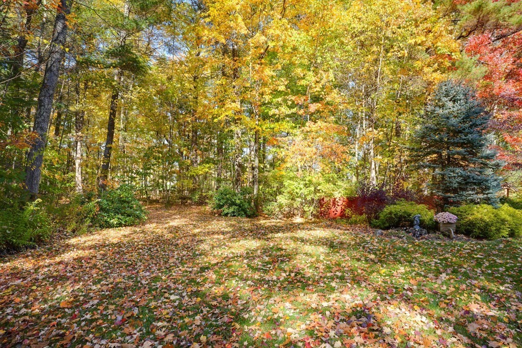494 West Townsend Road Lunenburg, MA 01462 - Photo 33 of 35 Gallery Image 33