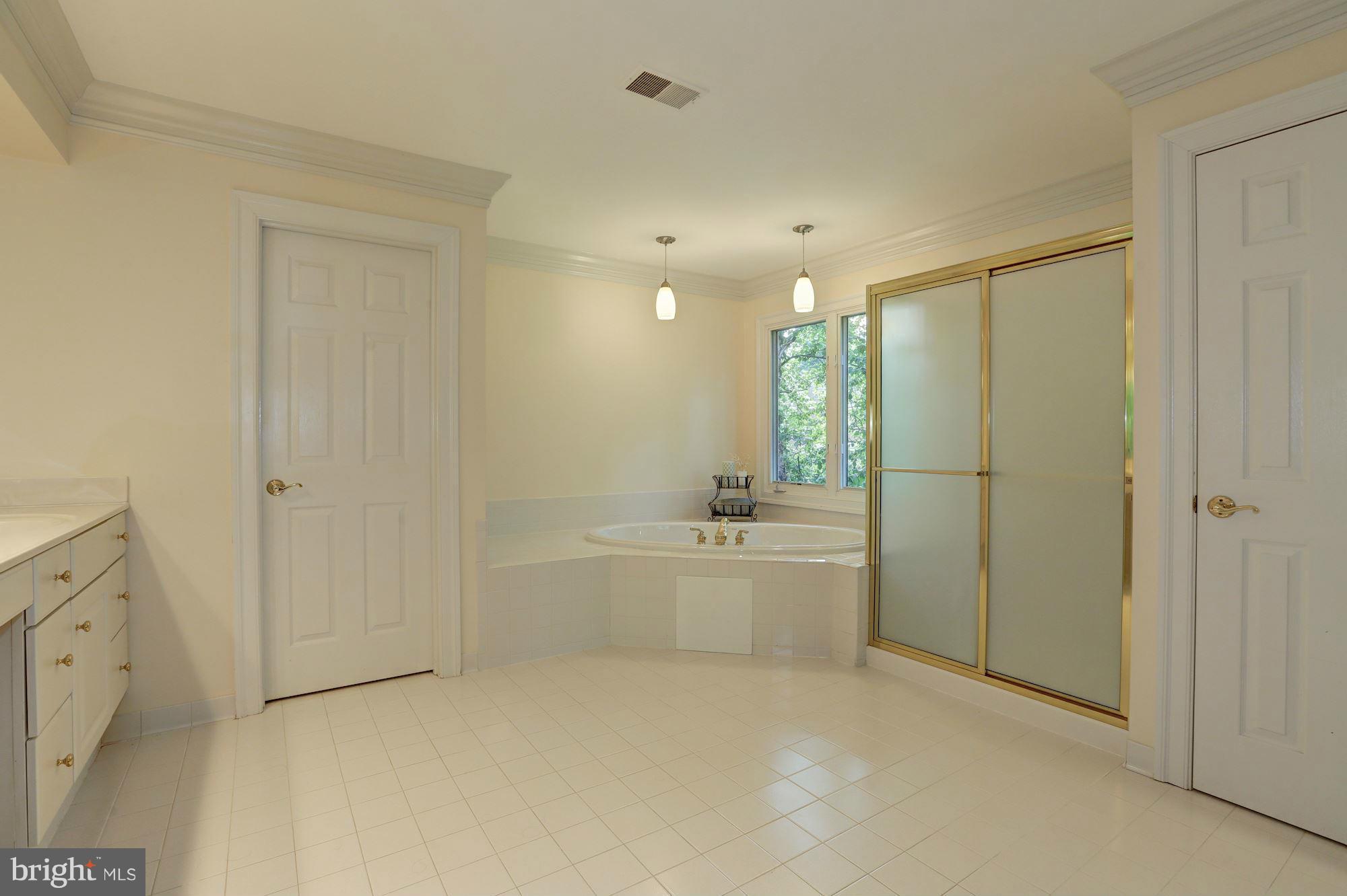 11500 Ridge Mist Terrace Potomac, MD 20854 - Photo 13 of 30 Bath (Master)