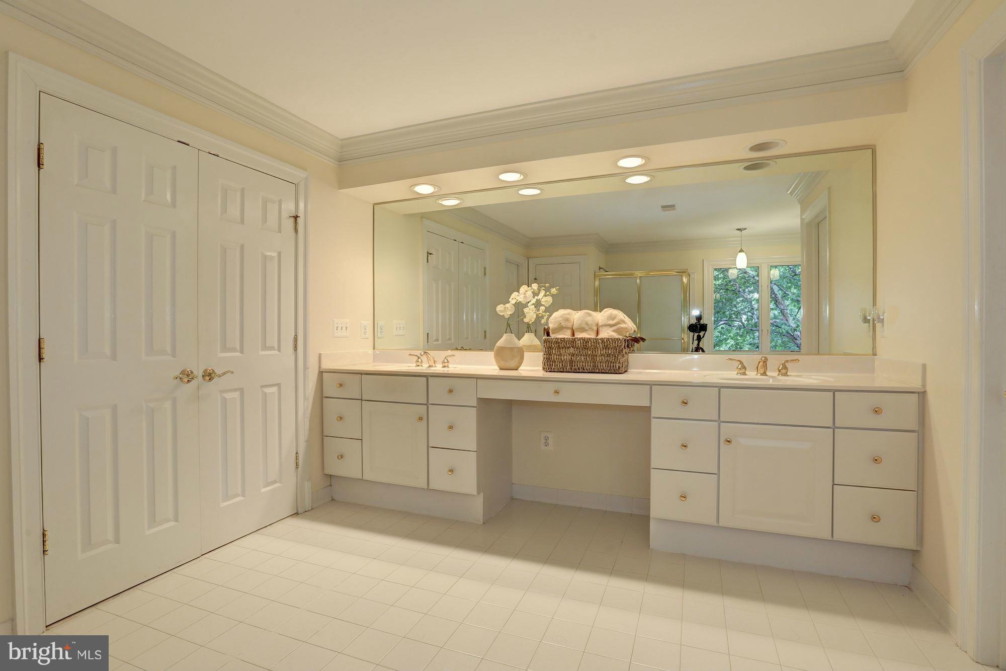 11500 Ridge Mist Terrace Potomac, MD 20854 - Photo 14 of 30 Bath (Master)