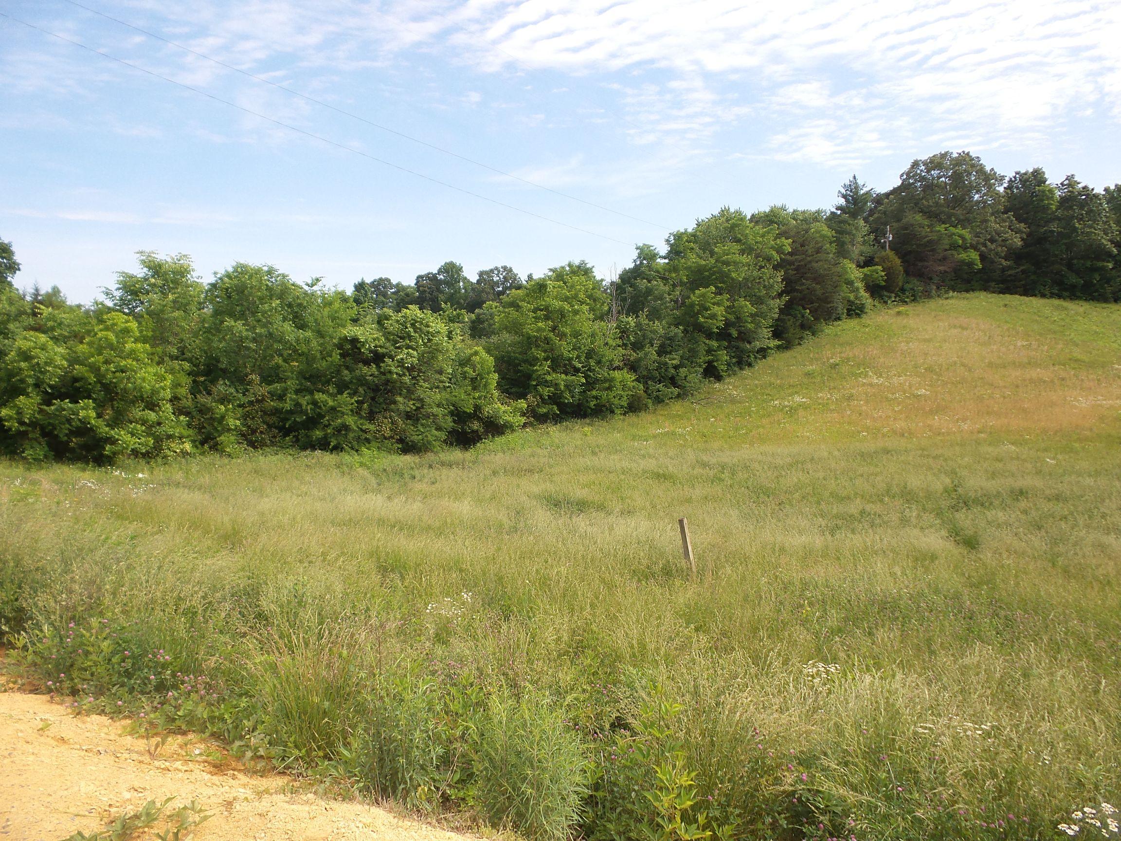 4074 Byrds Cross Road Sevierville, TN 37876 - Photo 1 of 27 20150523_053808