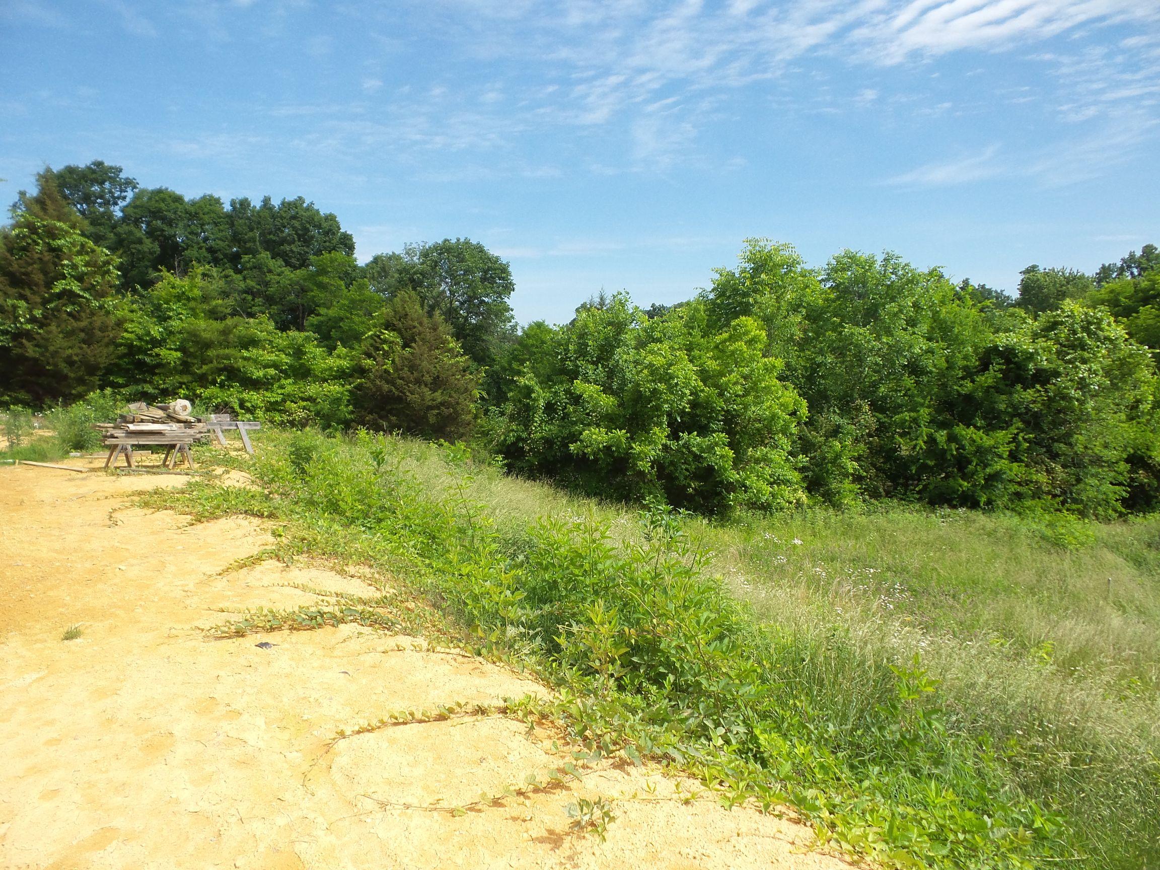 4074 Byrds Cross Road Sevierville, TN 37876 - Photo 2 of 27 20150523_053826
