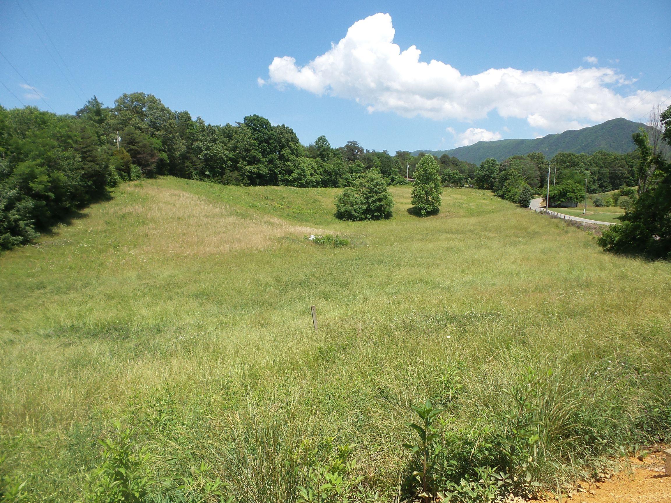 4074 Byrds Cross Road Sevierville, TN 37876 - Photo 16 of 27 20150530_095919