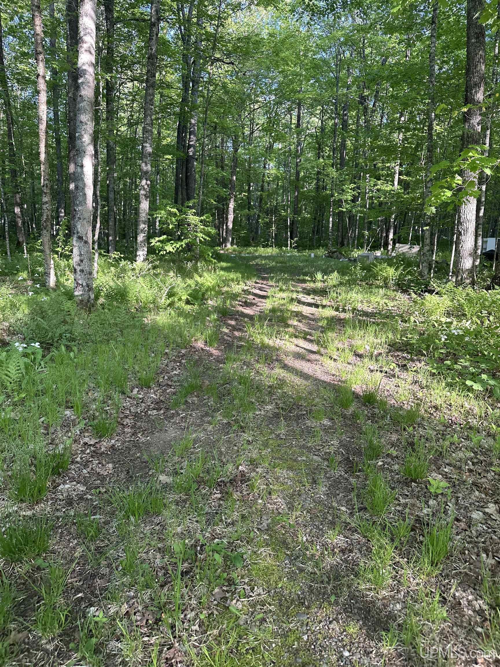 549 Sheltrow Road Crystal Falls, MI 49920 - Photo 22 of 35