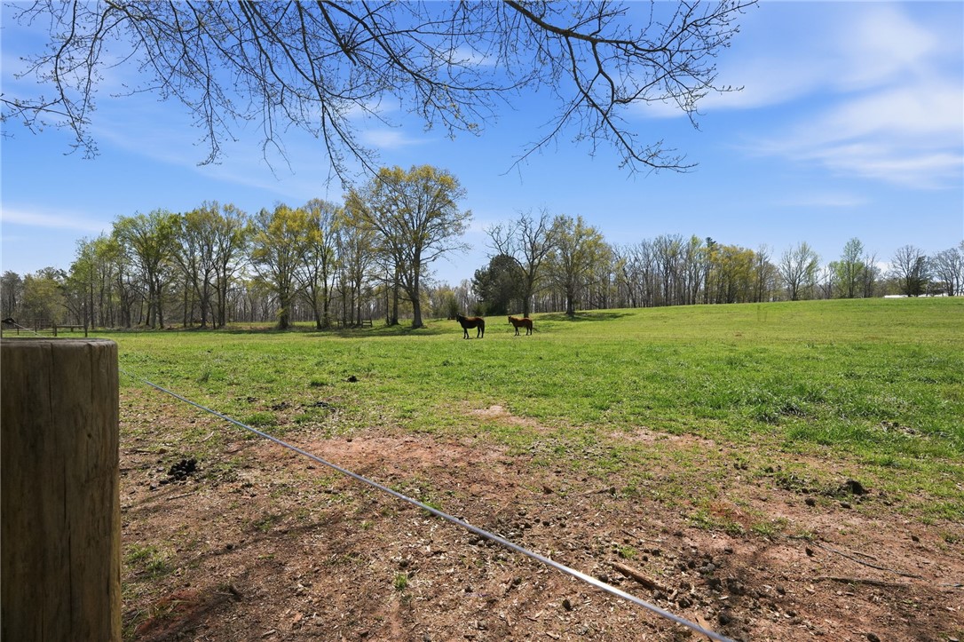 608 Five Forks Road Anderson, SC 29621 - Photo 20 of 43 Expansive green pastures offer ample space for horses and outdoor activities under a bright sky.