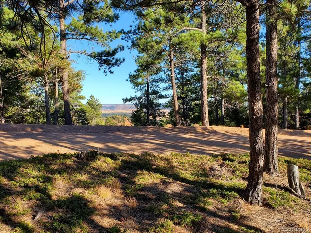 a view of a yard with an tree