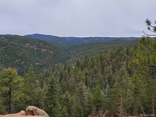 a view of a mountain in the distance in a field