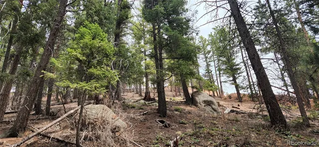 a view of outdoor space with lots of trees