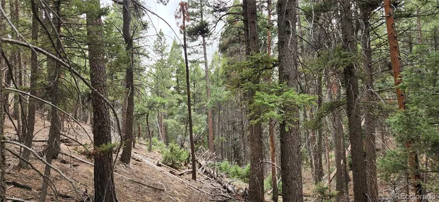 a view of a lush green hillside and a building