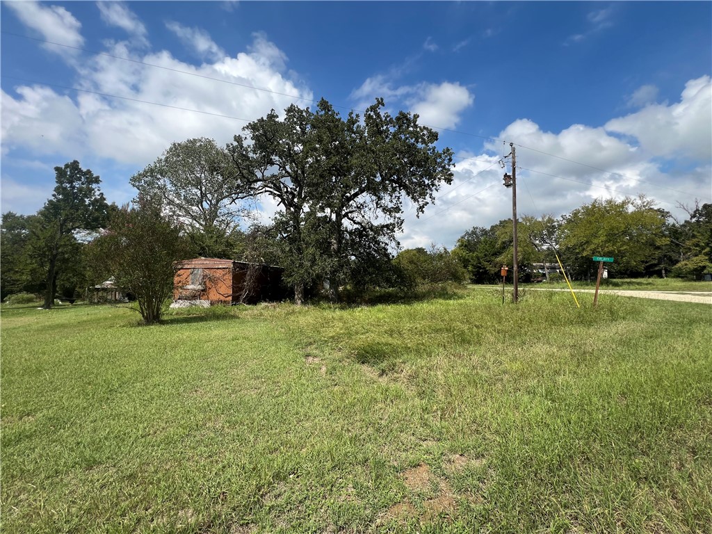 371 Rd Jewett Tx 75846 Road Jewett, TX 75846 - Photo 2 of 10