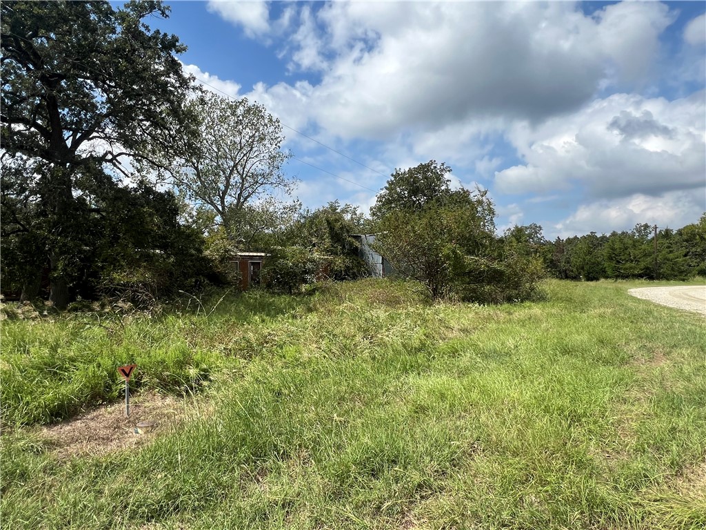 371 Rd Jewett Tx 75846 Road Jewett, TX 75846 - Photo 3 of 10
