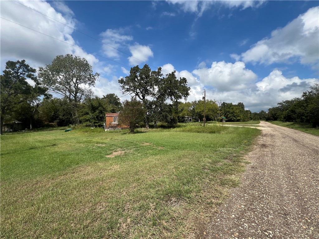 371 Rd Jewett Tx 75846 Road Jewett, TX 75846 - Photo 4 of 10