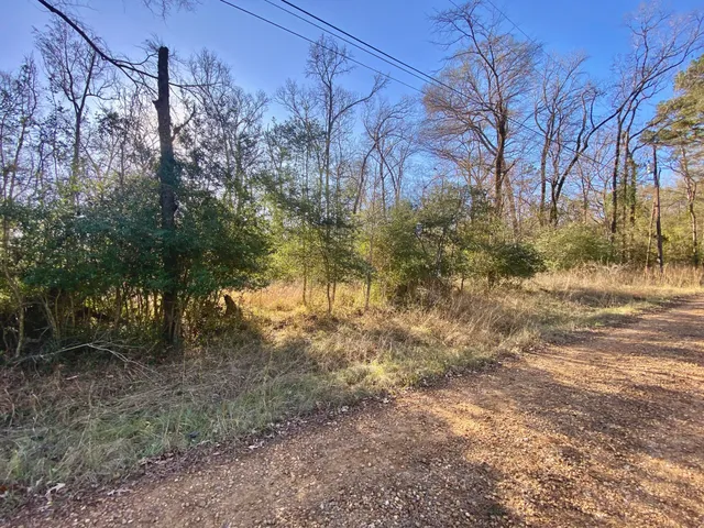 $39,900 | Lot #10 Tall Timber Road, Crockett, TX 75835