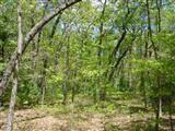 Nelson Road Baldwin, MI 49304 - Photo 1 of 1 Primary Photo