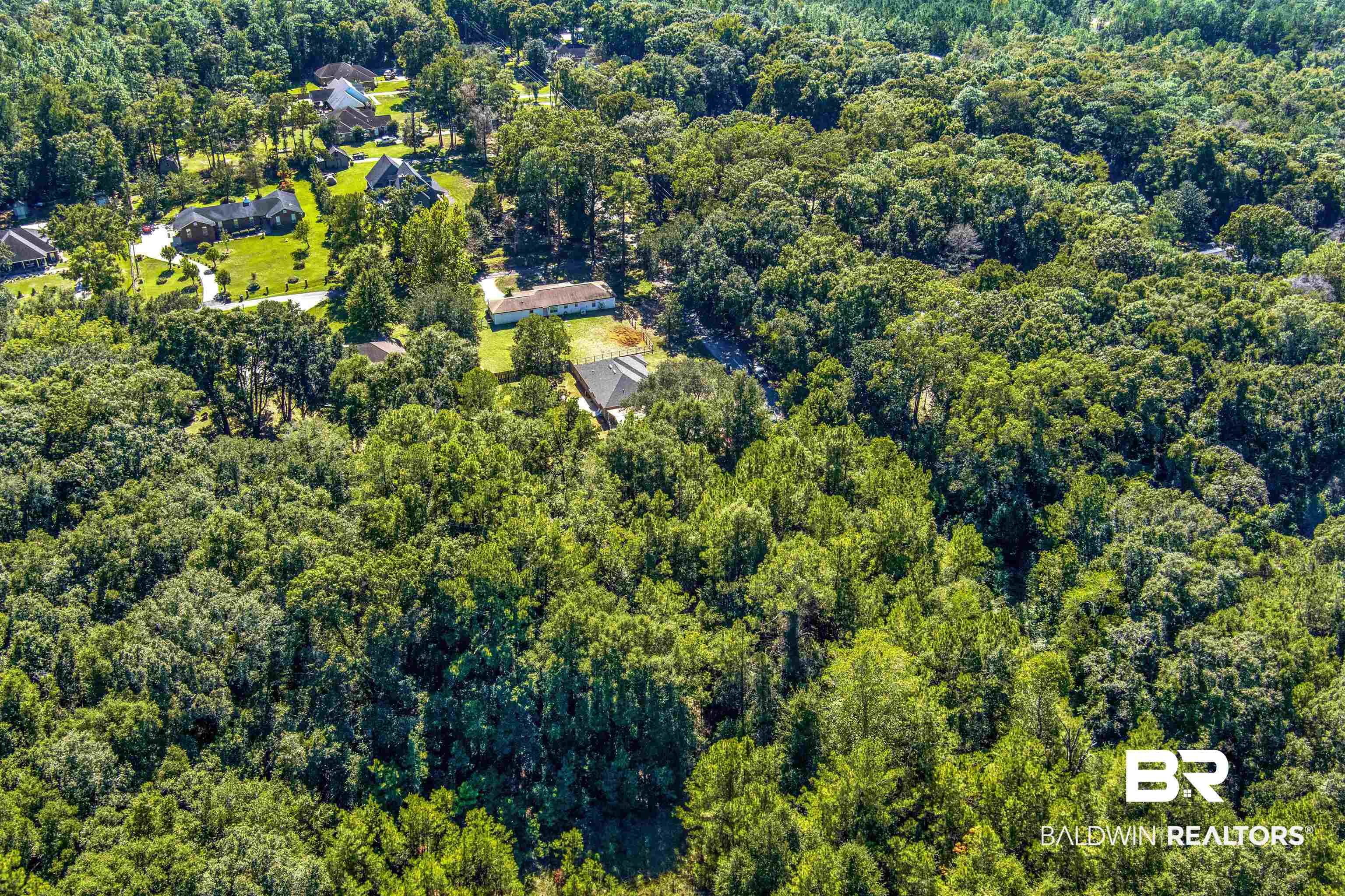 29767 Douglas Road Daphne, AL 36526 - Photo 7 of 10 Aerial view