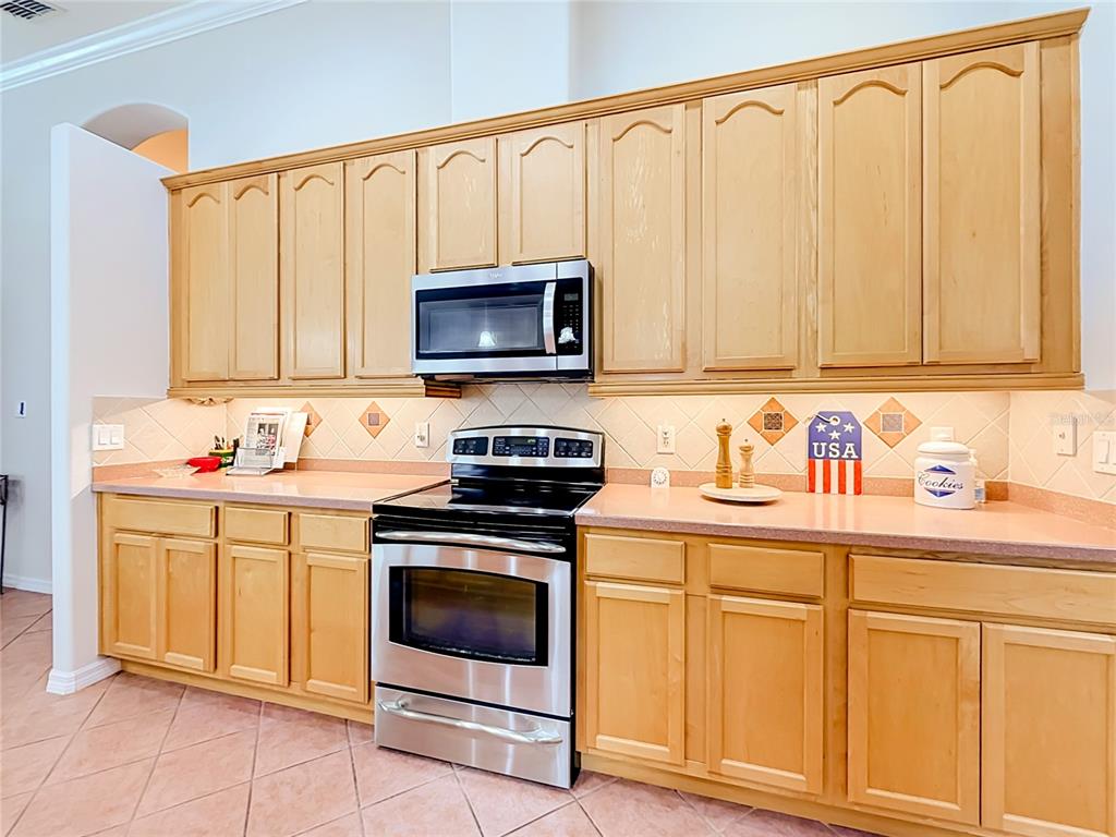 24044 Peekskill Street Leesburg, FL 34748 - Photo 24 of 59