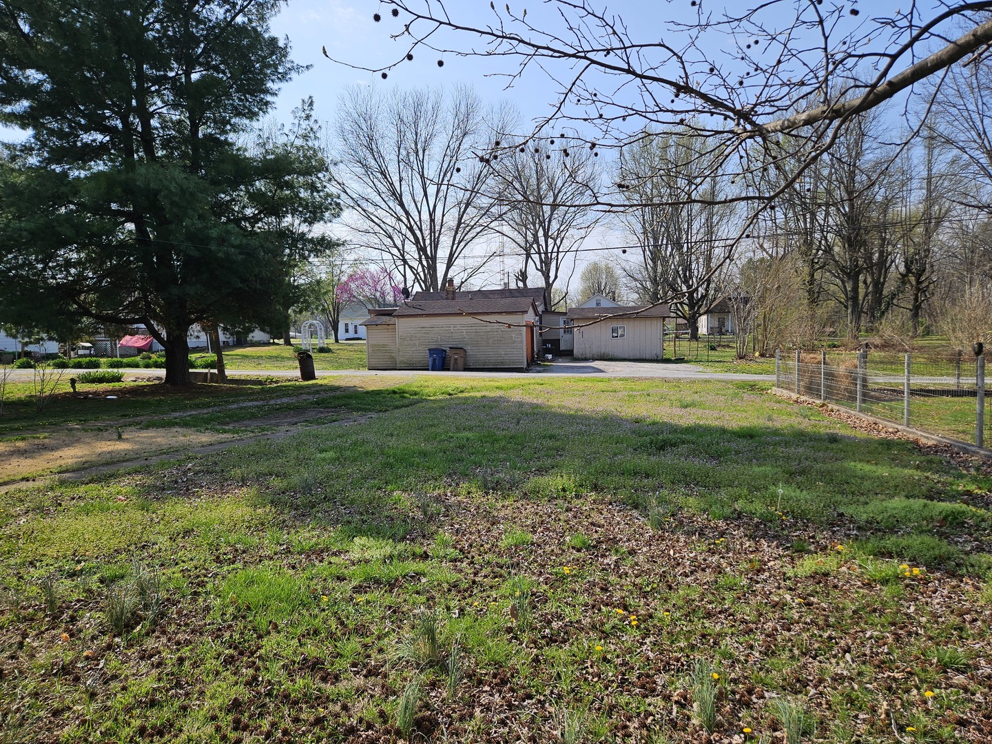 805 West Pine Street Percy, IL 62272 - Photo 3 of 20