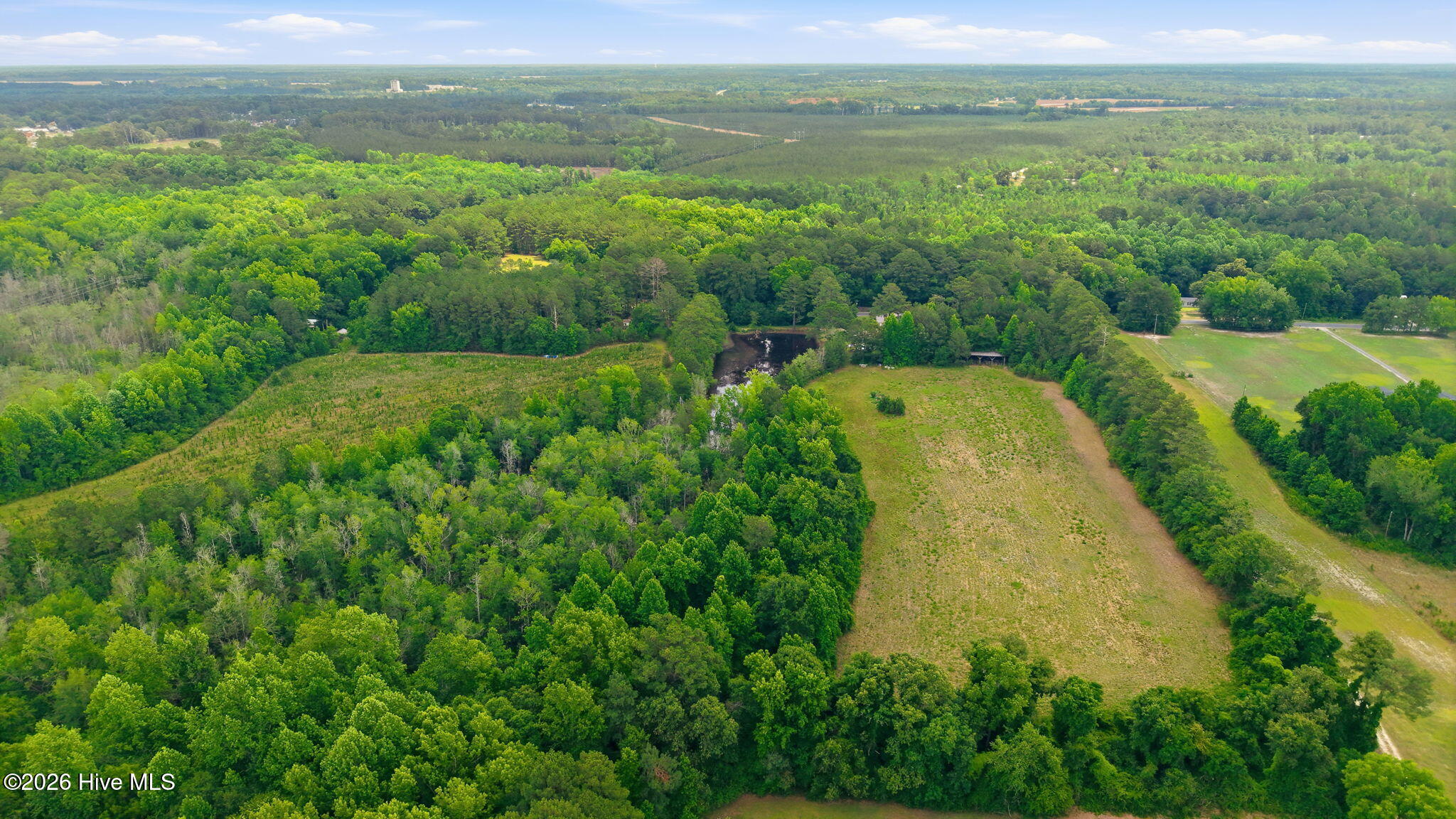 17060 St Johns Church Road Laurel Hill, NC 28351 - Photo 52 of 62