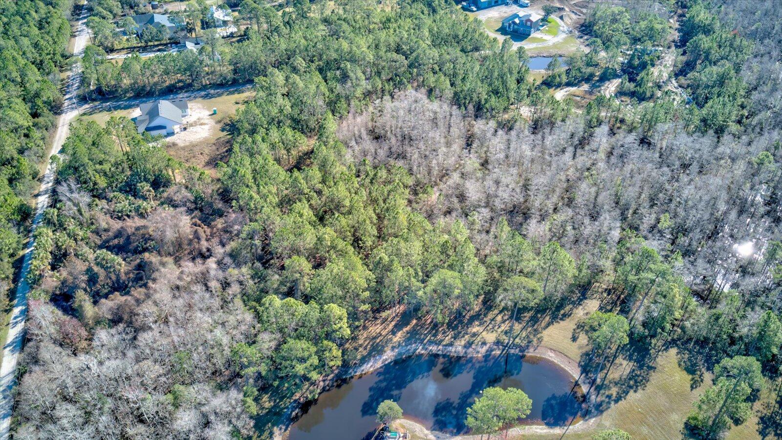 0 Rodeo Acres Drive Ormond Beach, FL 32174 - Photo 8 of 20 a view of a garden with plants