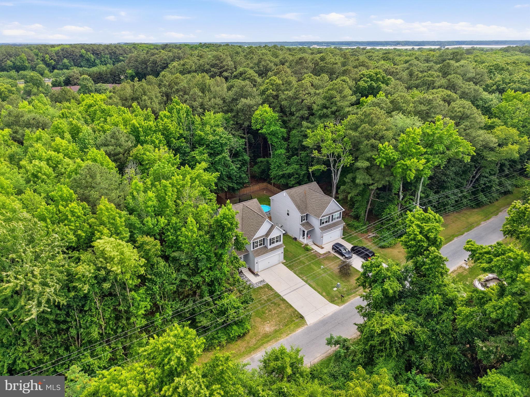 124 Riverside Drive Chester, MD 21619 - Photo 33 of 44 Serene homes nestled in lush greenery.