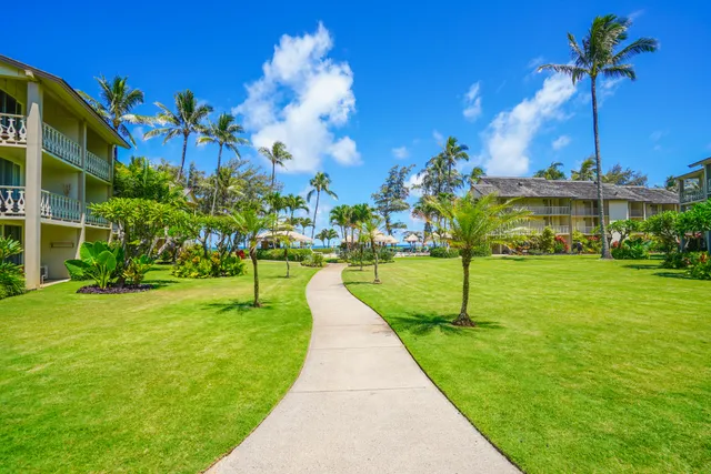 a view of a park with large trees