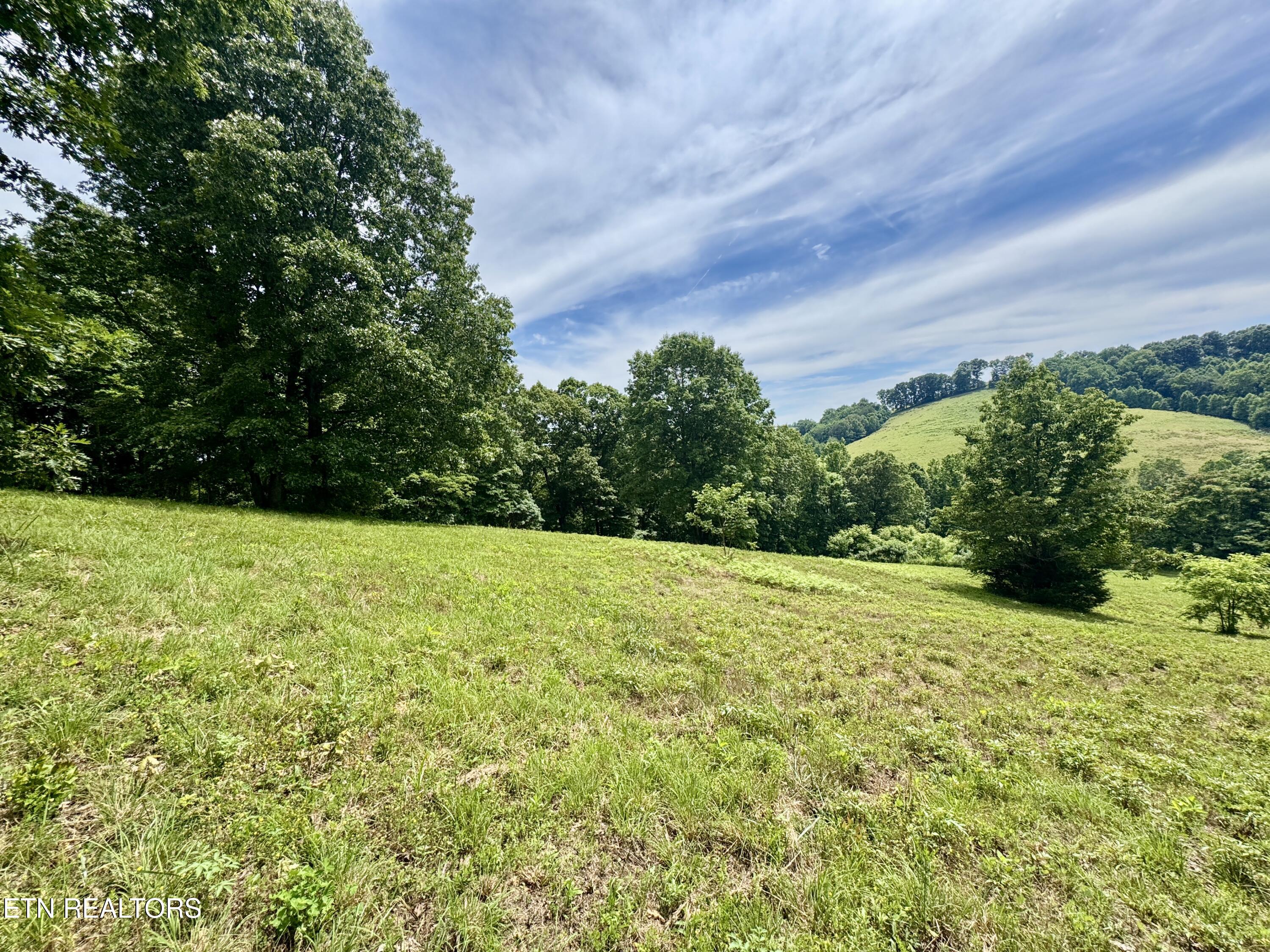 378 Johnson Hollow Road New Tazewell, TN 37825 - Photo 25 of 35 1-25