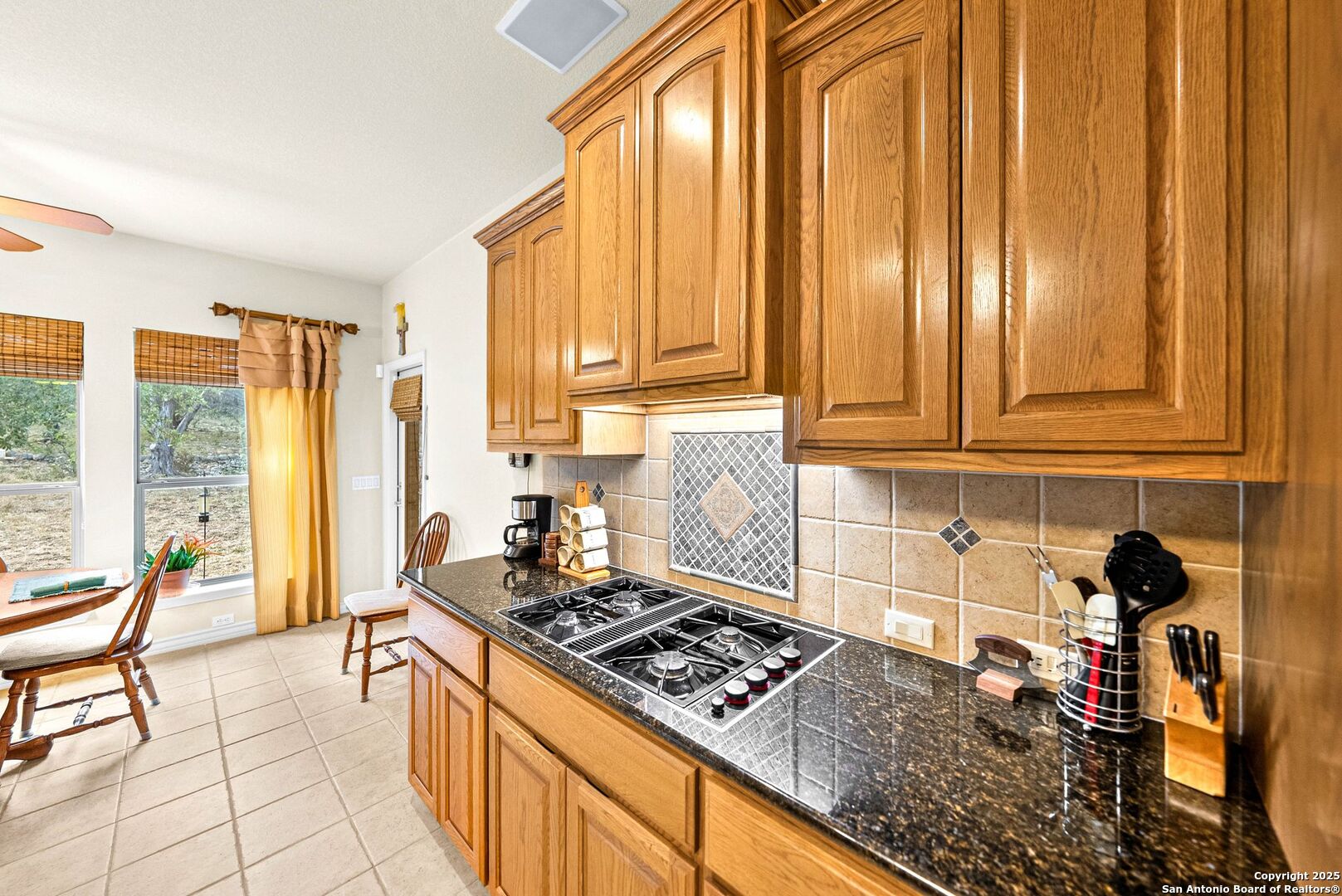 130 Grey Mist Spring Branch, TX 78070 - Photo 17 of 76