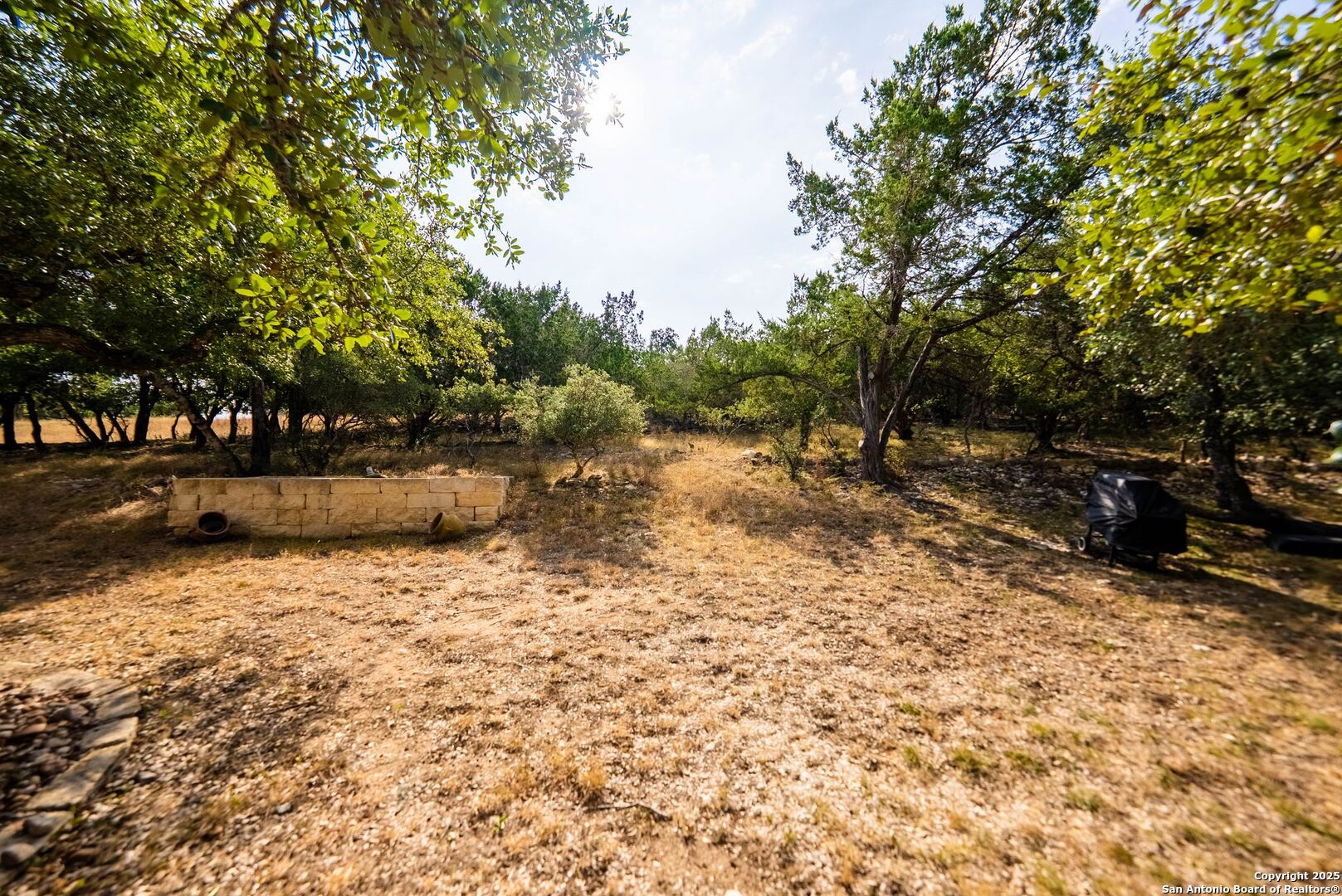 130 Grey Mist Spring Branch, TX 78070 - Photo 47 of 76