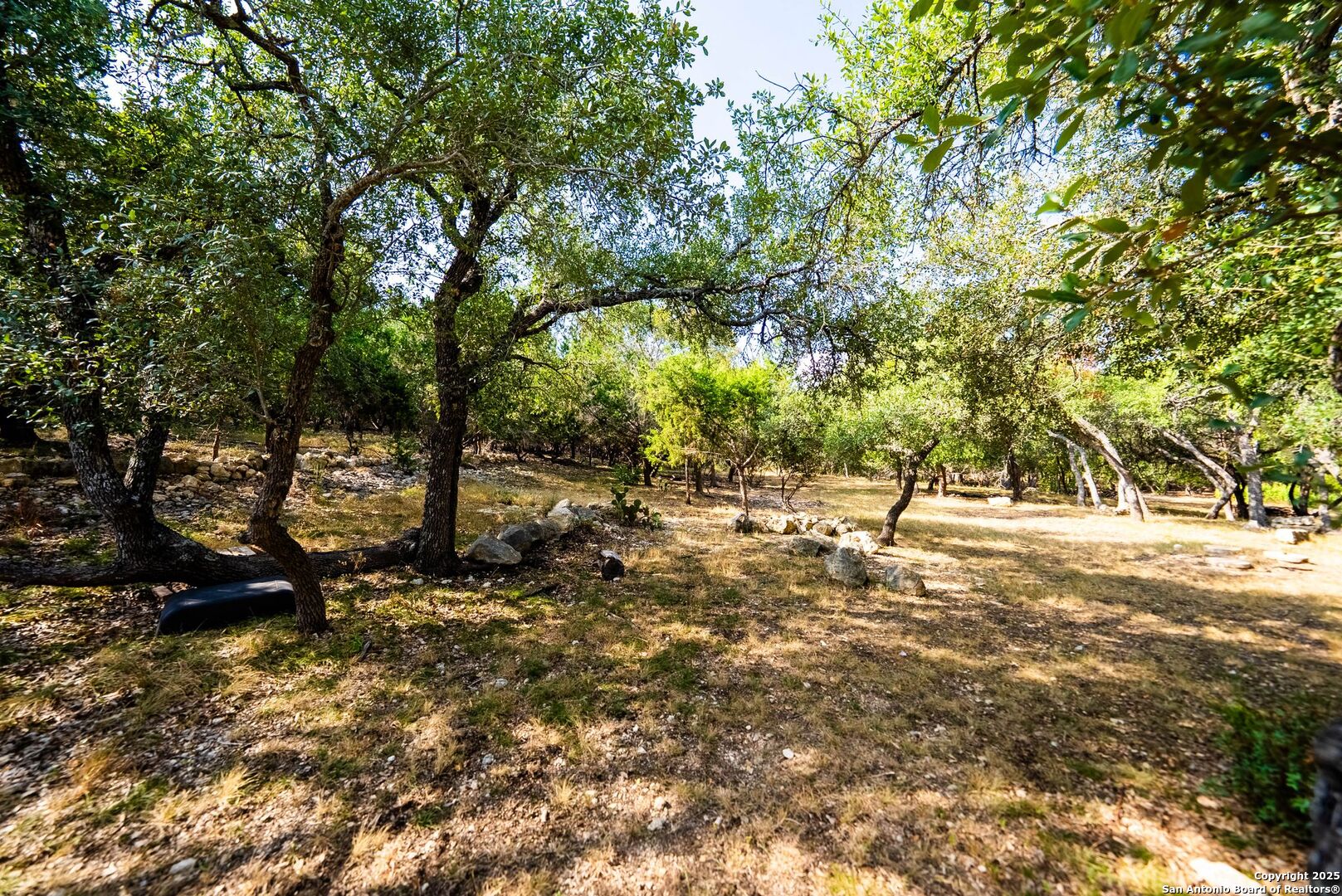 130 Grey Mist Spring Branch, TX 78070 - Photo 48 of 76