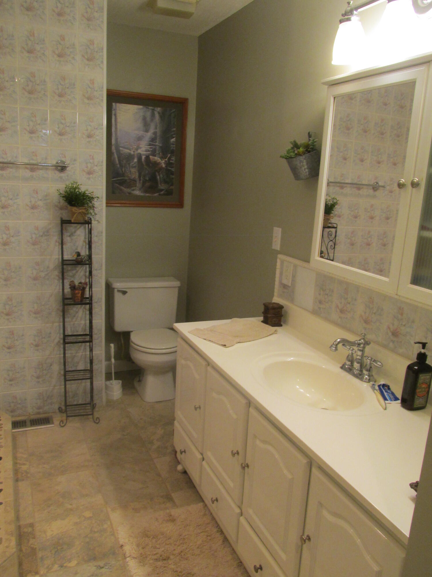 668 Calico Road Afton, TN 37616 - Photo 15 of 24 039