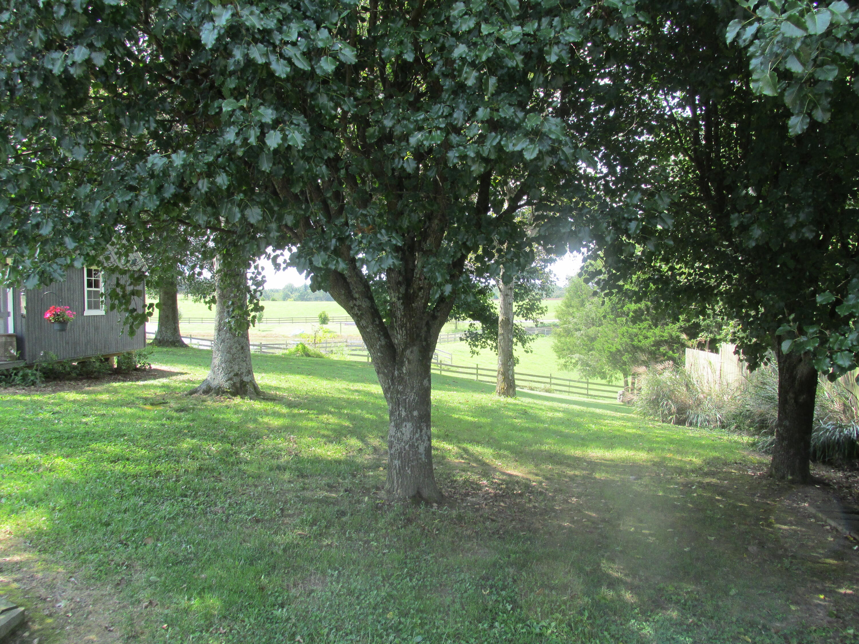668 Calico Road Afton, TN 37616 - Photo 7 of 24 009