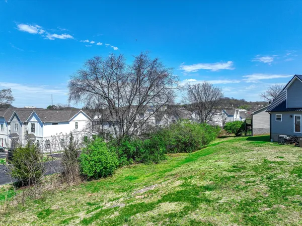 a view of a big yard with plants and large trees