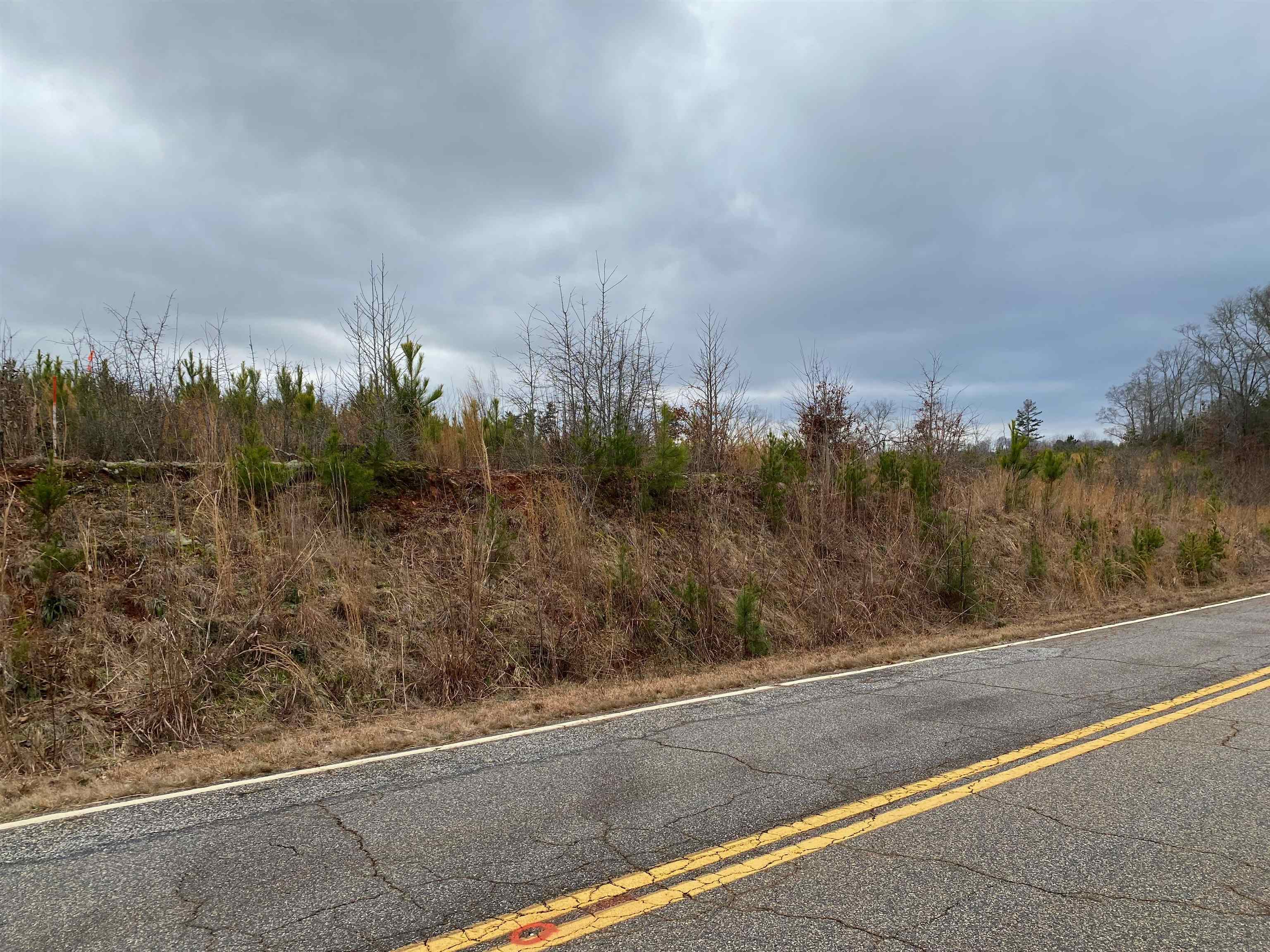 473 Robbins Road Chesnee, SC 29323 - Photo 4 of 6