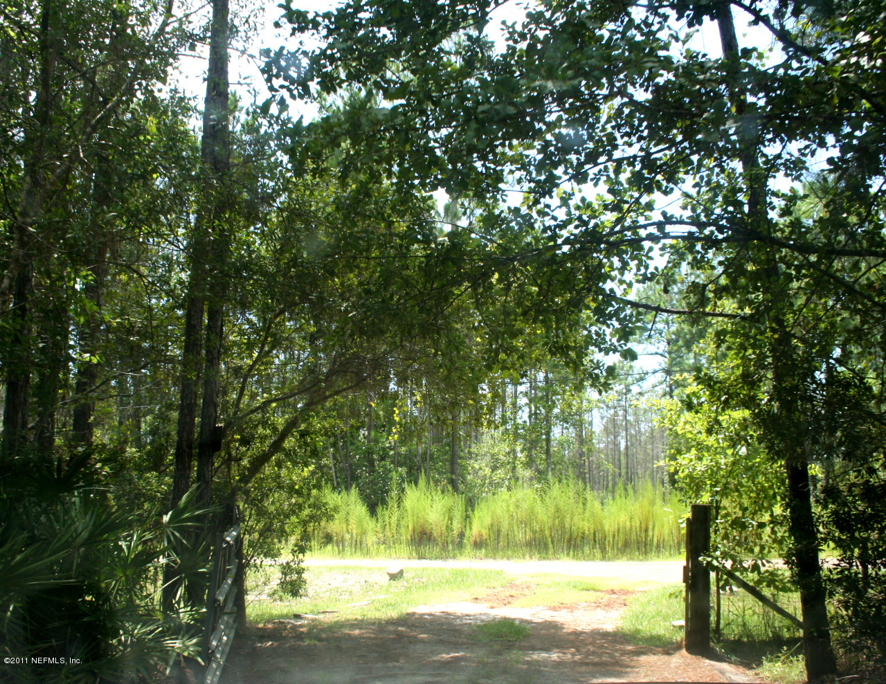 2445 Range Line Road Middleburg, FL 32068 - Photo 1 of 8 Driveway