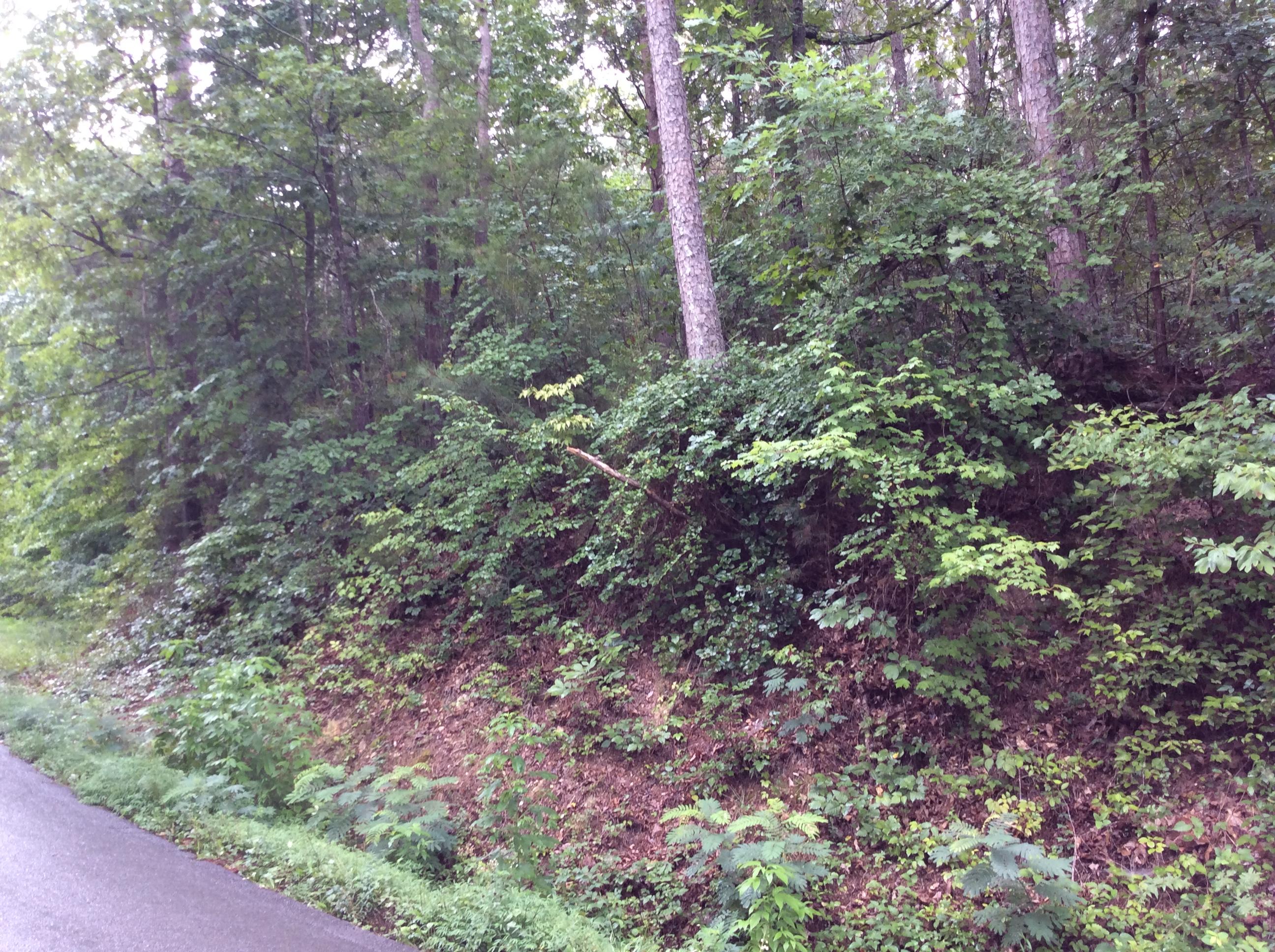 246 Lail Road, Unit 246 Chickamauga, GA 30707 - Photo 2 of 4 IMG_0994