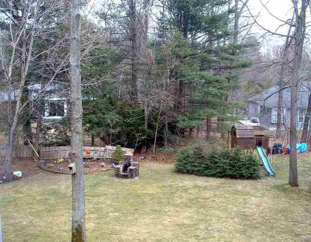 116 Darroch Road Bethlehem, NY 12054 - Photo 10 of 12 Photo 10