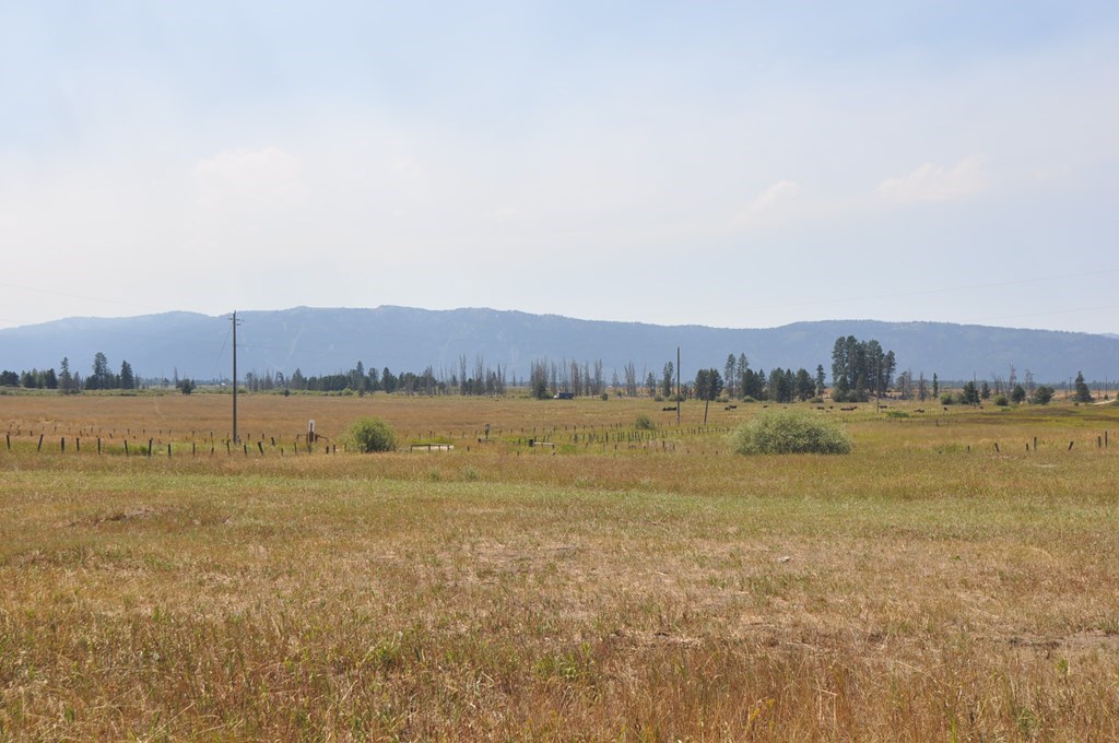 Tbd Farm To Market Road McCall, ID 83638 - Photo 6 of 10