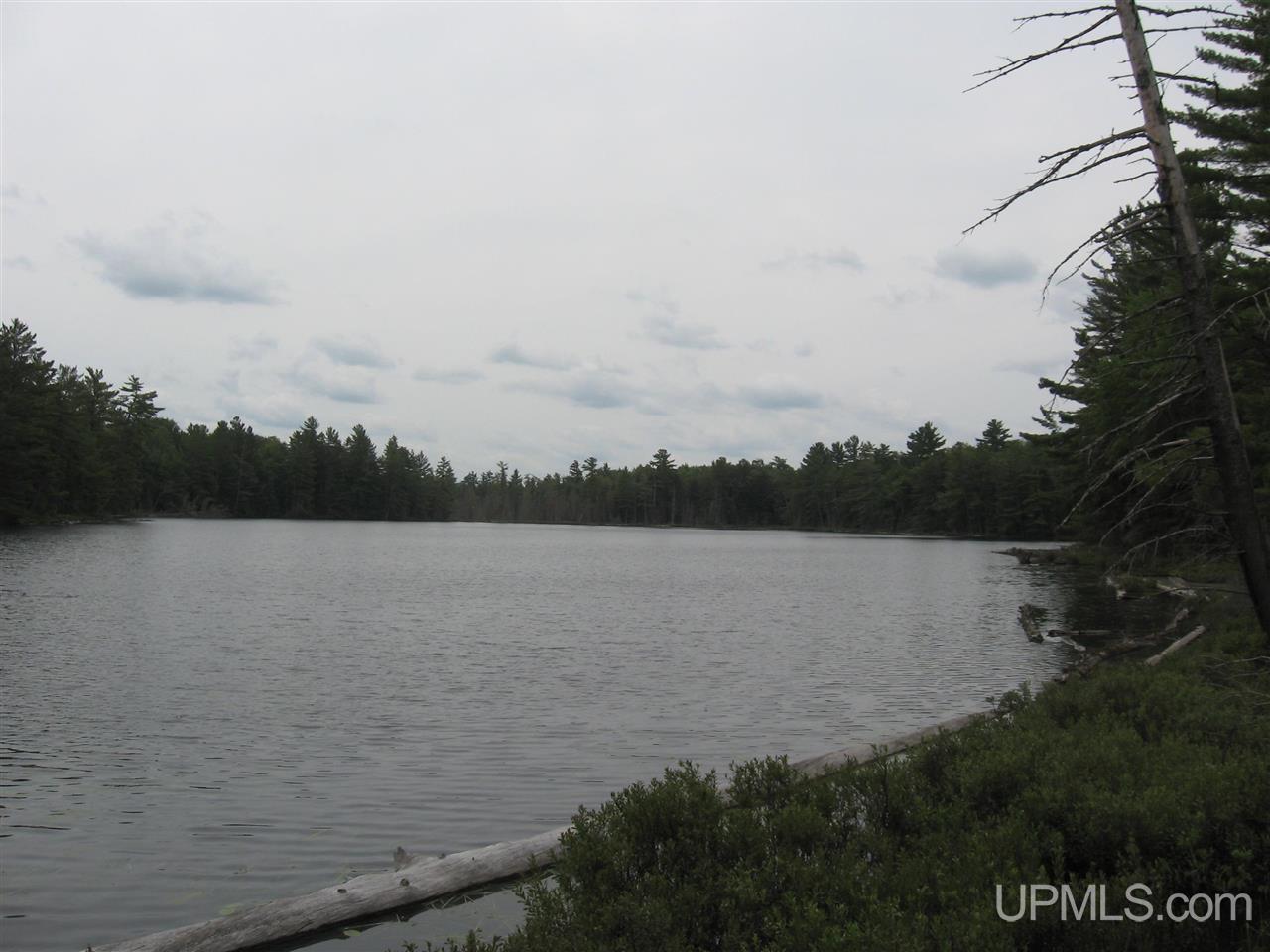 0 Rhody Cr, Unit CARTER LAKE RDP Seney, MI 49883 - Photo 21 of 36