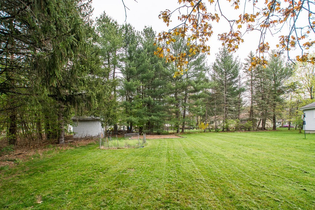 49 Ansie Road Chelmsford, MA 01824 - Photo 22 of 22 a view of a park with large trees