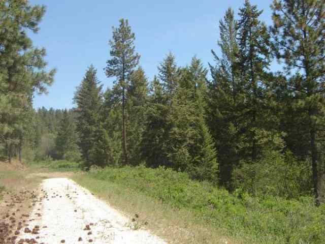 0 Huffman Road Valley, WA 99181 - Photo 3 of 5
