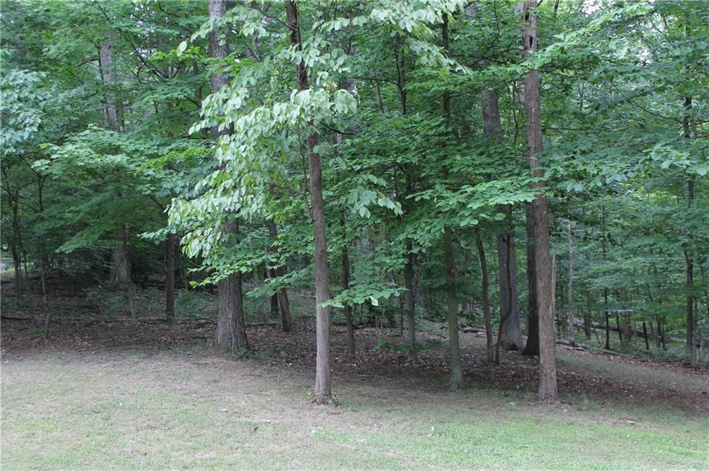 3441 Albert Johnson Road Nashville, IN 46164 - Photo 46 of 59 Gallery Image 46