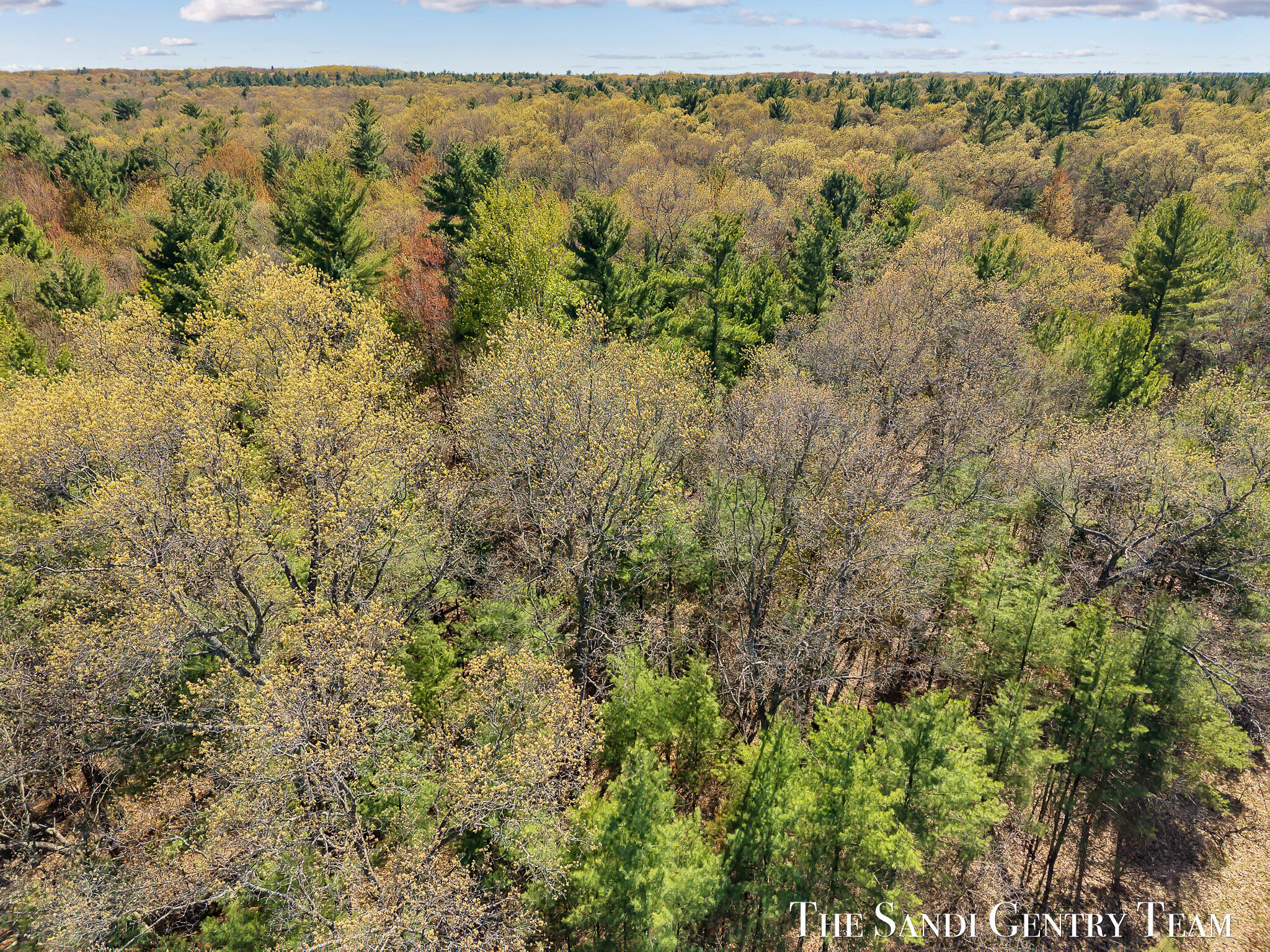 Whitehall Road Whitehall, MI 49461 - Photo 6 of 13 DJI_20260514163448_0368_D_KYLE