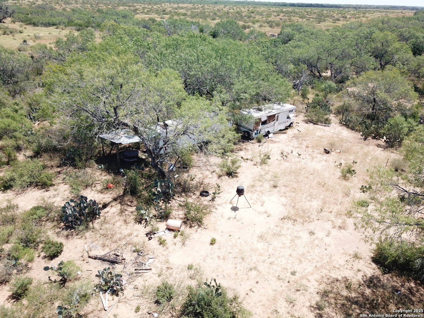 5440 Tabberer Road Poteet, TX 78065 - Photo 4 of 10 a view of a forest with trees in the background