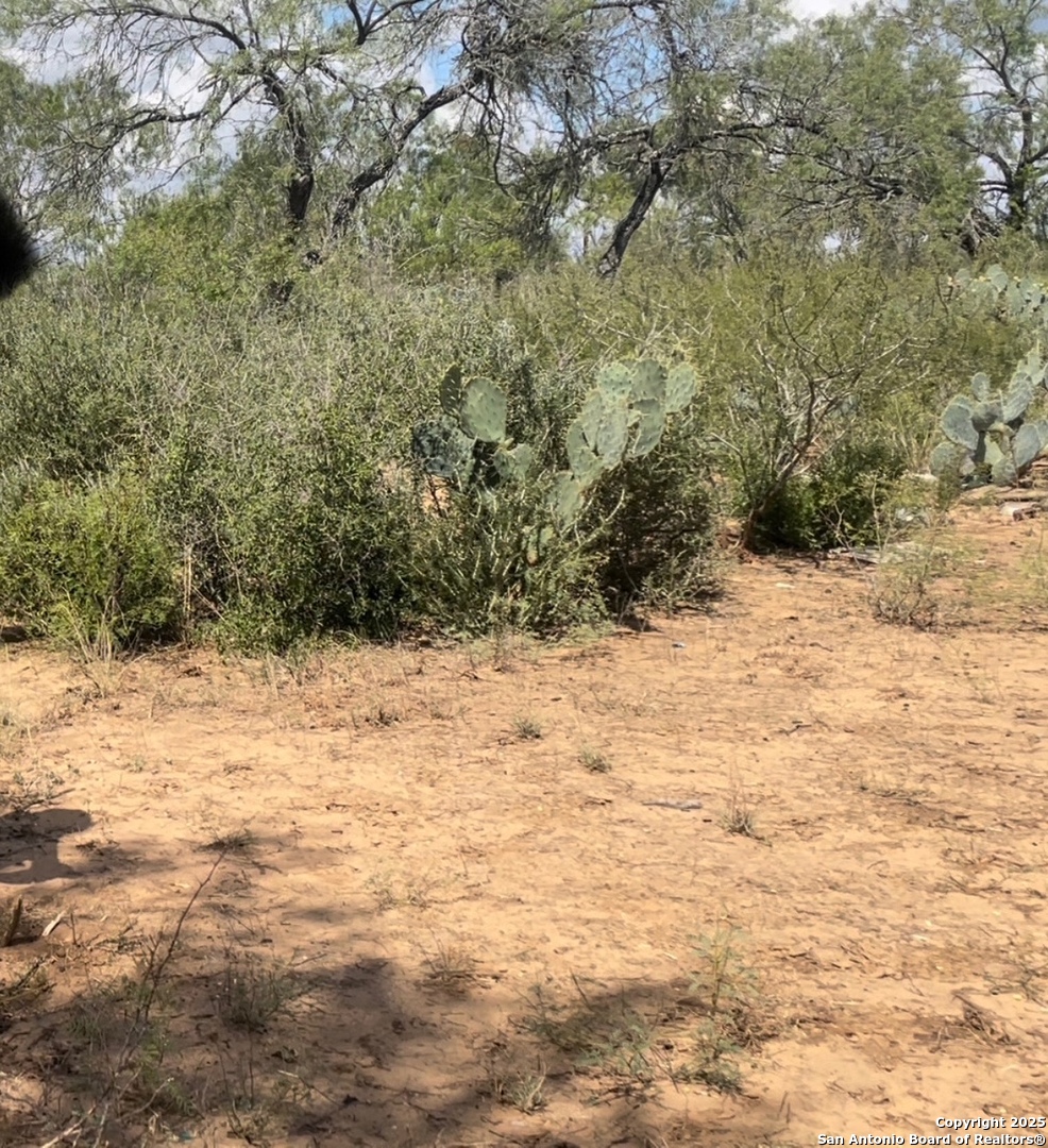 5440 Tabberer Road Poteet, TX 78065 - Photo 9 of 10 a view of a snow of the yard
